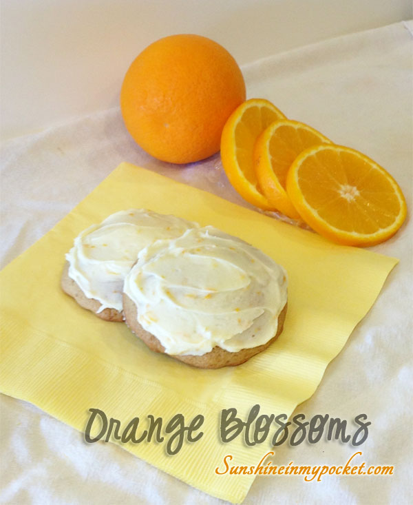 two-cookies-with-orange-slices