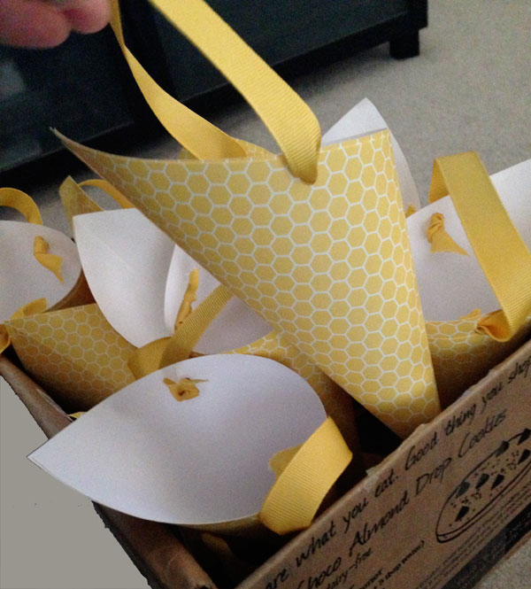 cones-in-a-box