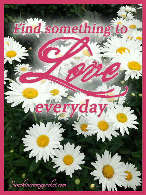 7-13-find-something-to-love-every-day