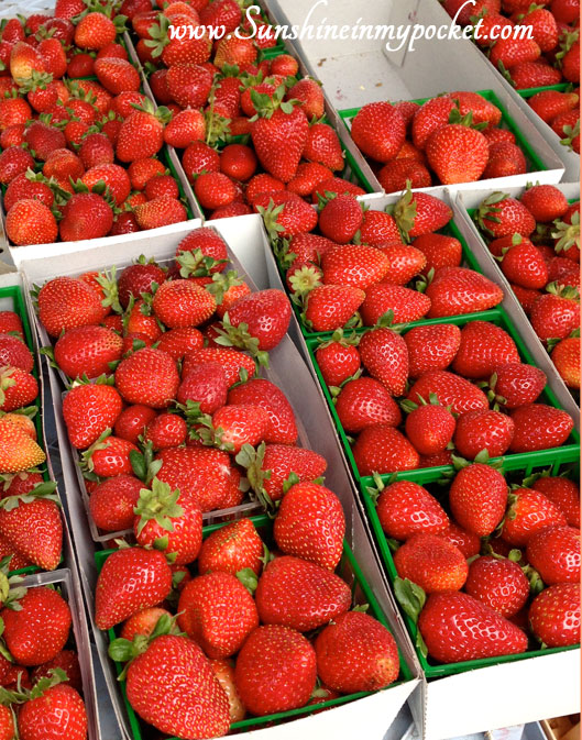 the-strawberries