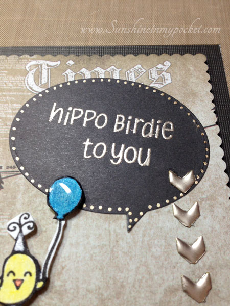 8-14-hippo-birdie-to-you-2